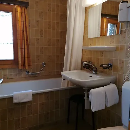 Hotel Petit Helvetia Budget Zermatt