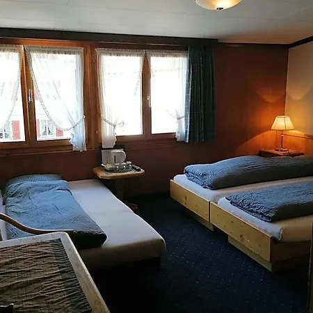 Hotel Petit Helvetia Budget Zermatt