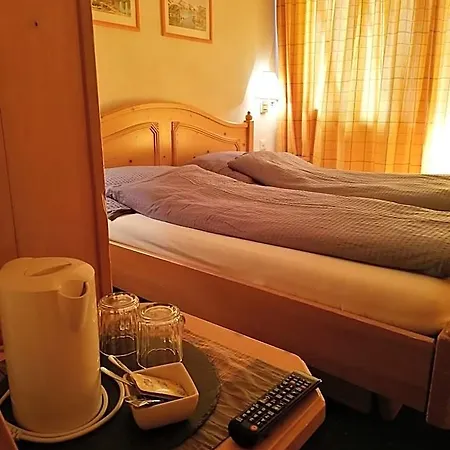Hotel Petit Helvetia Budget Zermatt
