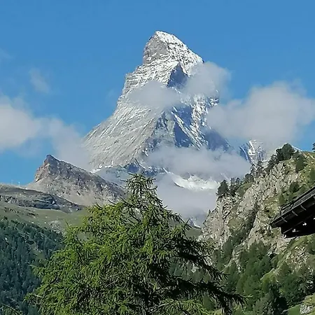 Petit Helvetia Budget Hotel 2*