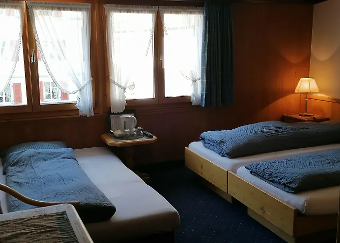 Hotel Petit Helvetia Budget