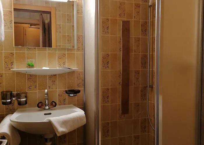 Hotel Petit Helvetia Budget Zermatt