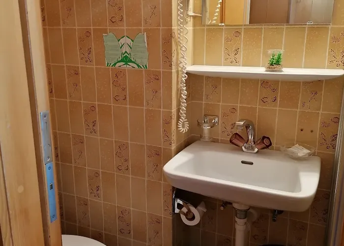 Petit Helvetia Budget Zermatt