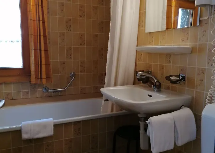 Hotel Petit Helvetia Budget Zermatt