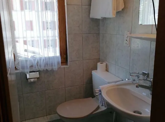 Petit Helvetia Budget