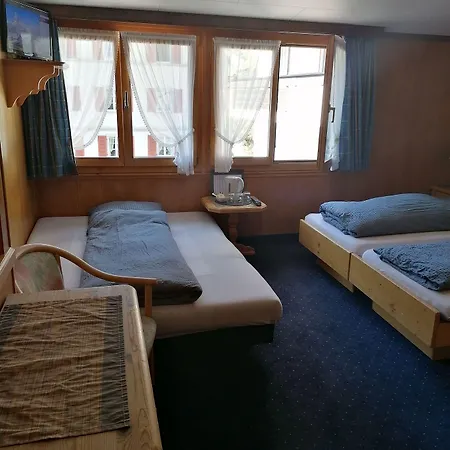 Hotel Petit Helvetia Budget Zermatt