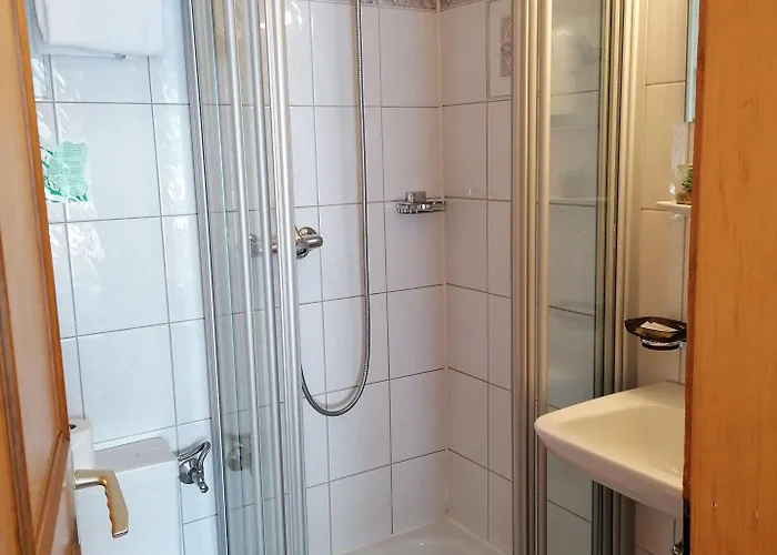 Hotel Petit Helvetia Budget 2*