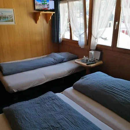 Hotel Petit Helvetia Budget Zermatt