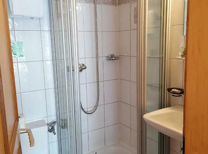 Petit Helvetia Budget 2*