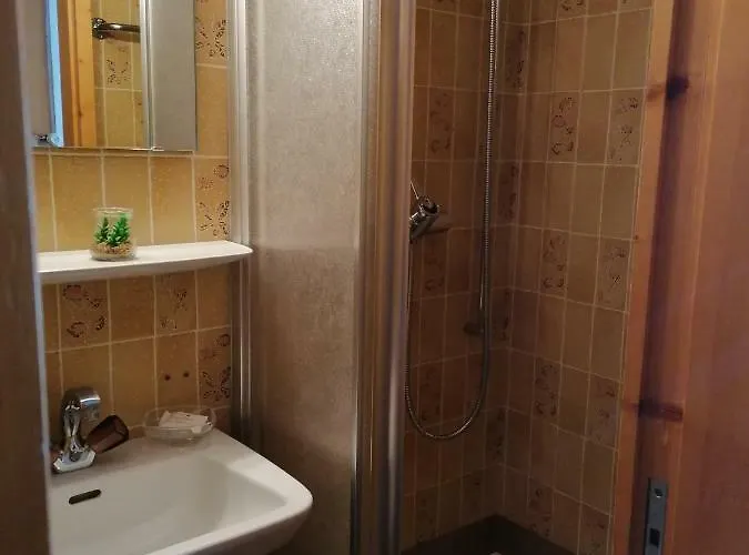 Hotel Petit Helvetia Budget Zermatt